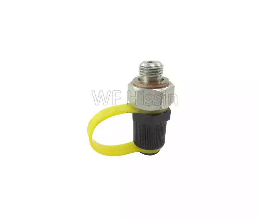 Pressure measuring joint